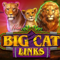 Big Cat